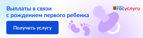 Государственная услуга в сфере переданных полномочий Российской Федерации по назначению ежемесячной выплаты в связи с рождением (усыновлением) первого ребенка